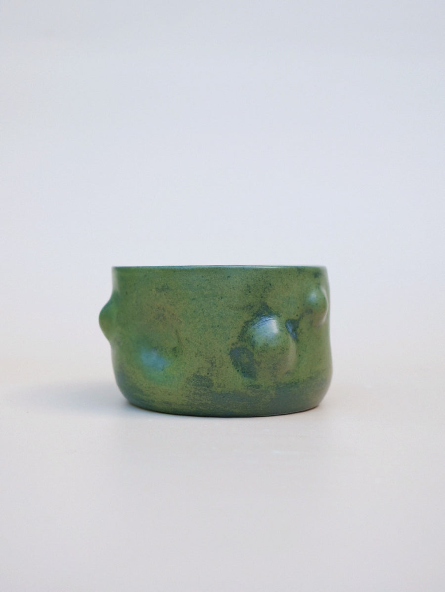 Lump Mug Algae