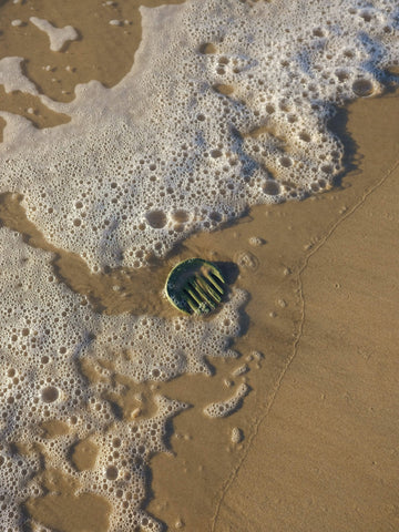 Algae Comb